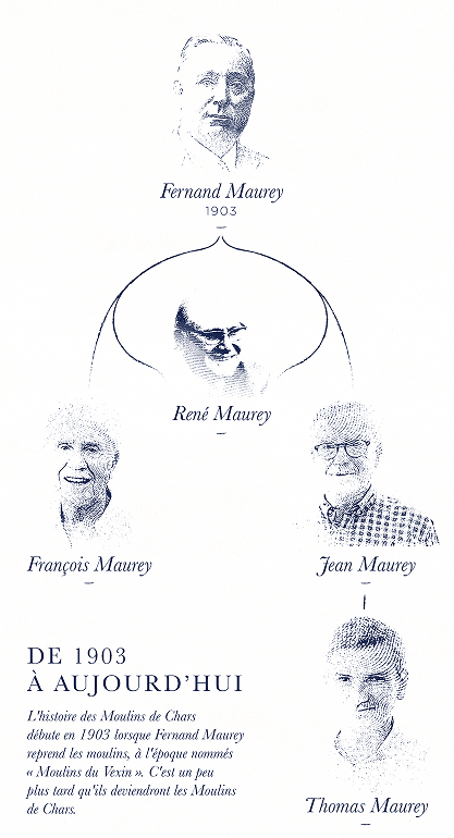 arbre généalogique