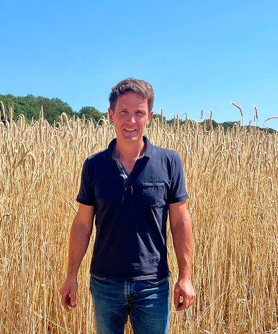 fields wheat french producer