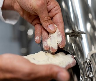 professional flour analysis